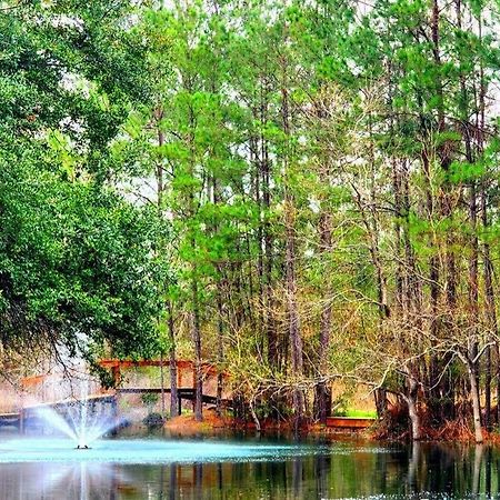 Waterfront Houston Hide Out In A Magical Forest Waller ภายนอก รูปภาพ