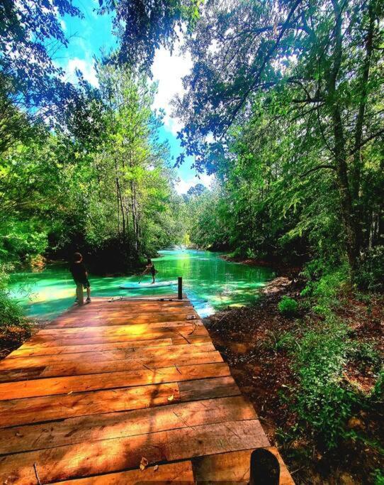 Waterfront Houston Hide Out In A Magical Forest Waller ภายนอก รูปภาพ