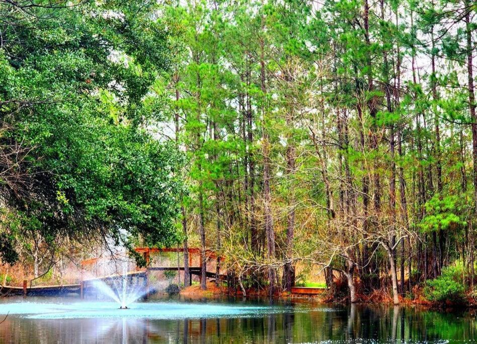 Waterfront Houston Hide Out In A Magical Forest Waller ภายนอก รูปภาพ
